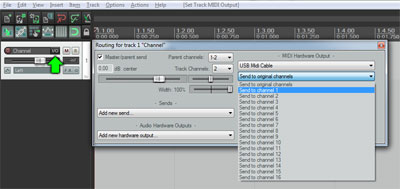 Reaper I/O Button