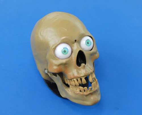 Midify Your Skull Installed