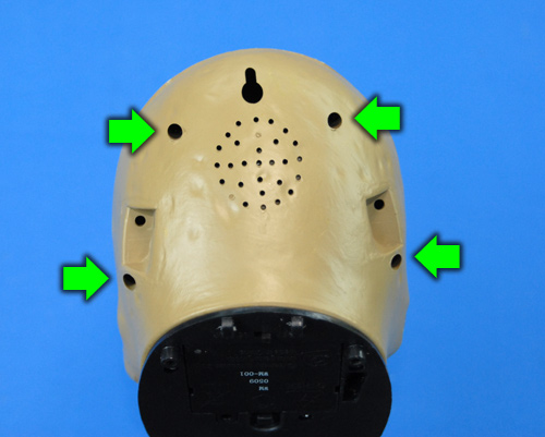 Remove Screws