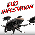 Bug Infestation Haunt DVD