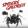 Spiders Galore Haunt DVD