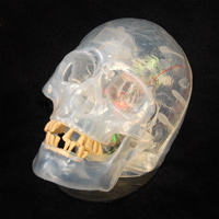 Clear MIDI-Controlled Skull