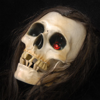 Midi-Controlled Skull w/ Hair