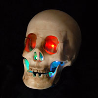 MIDI-Controlled Skull w/ Red Eyes and Lighted Mouth