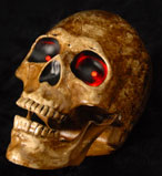 Computer Controlled Talking Skull
