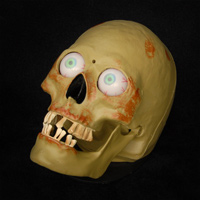 Midi-Controlled Skull w/ White Eyes